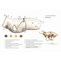 STOCK+STEIN® Wear Regenjacke Rainmaster Seals grün