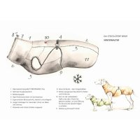 STOCK+STEIN® Wear Winterjacke Wintermaster Seals grün