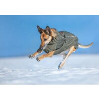 STOCK+STEIN® Wear Winterjacke Wintermaster Seals grün